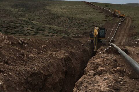 proje_81_16_80